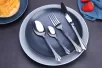 DS-6090 Silverware Set 20 Piece