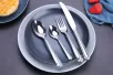 DS-6116  Premium Silverware Set