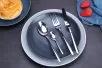 DS-6159 20-Piece Silverware Set